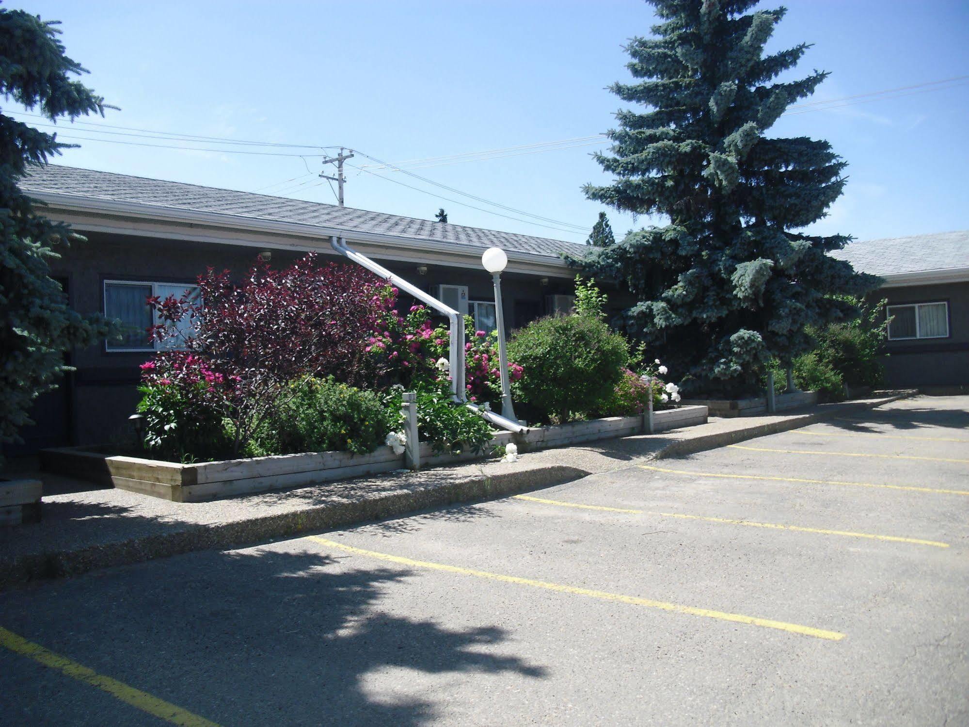 Stardust Motel Camrose Esterno foto